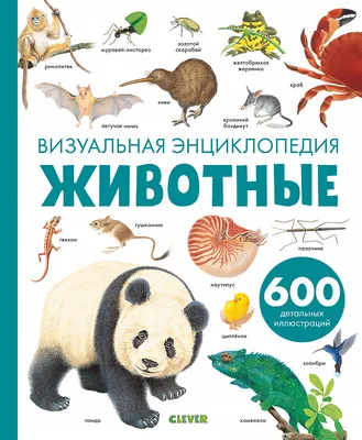 Раскраска Домашние животные. Супер-раскраска в продаже на OZ.by, купить  раскраски животных и растений по выгодным ценам в Минске