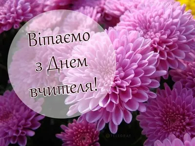 З Днем учителя 2021: найкращі привітання та листівки | OBOZ.UA