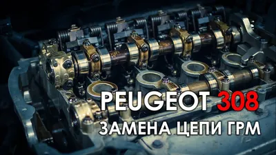 Замена цепи ГРМ и масла (опять) — Peugeot 308 (1G), 1,6 л, 2008 года |  своими руками | DRIVE2