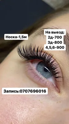 Lady Lash | Успейте записаться на реснички! | Дзен