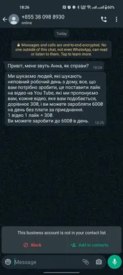 Легкие деньги: 13 примеров, как деньги могут достаться просто так