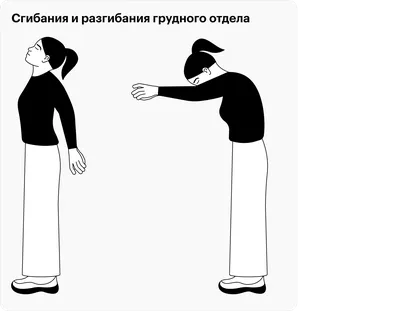 Гимнастика для поясничного отдела позвоночника - лучшие упражнения для  поясницы