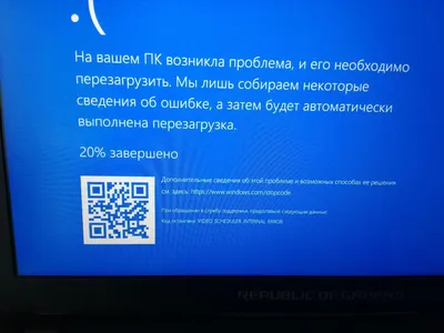 Не зависает\": чиновница рассказала, как пользуется белорусским ноутбуком  H-book