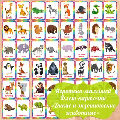 Животные на английском для детей раскраска - 20 фото