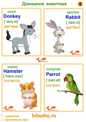 Животные на английском для детей раскраска - 20 фото