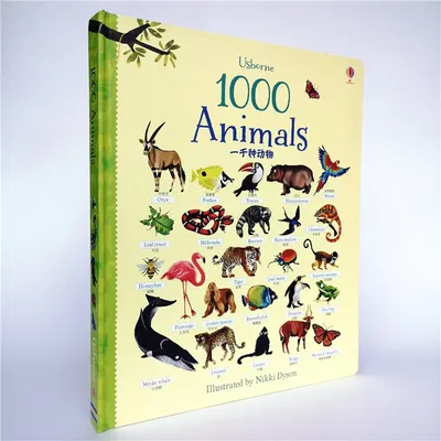 21 Бесплатная Карточка Животные африки на Английском | PDF