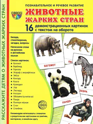 плакат животные для детского сада скачать для печати