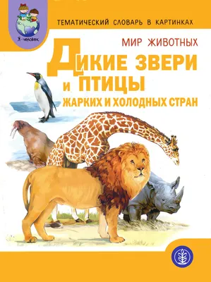 Темы по немецкому языку 6 класс | Немецкий язык онлайн. Изучение, уроки.