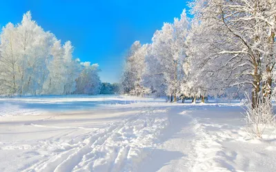 Обои Природа Зима, обои для рабочего стола, фотографии природа, зима, зимняя,  сказка Обои для рабочего стола, скачать обои картинки заставки на рабочий  стол.