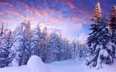 Обои зима, дорога, поворот, снег, ветки, гора картинки на рабочий стол,  фото скачать бесплатно