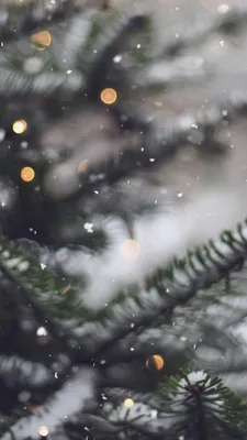 Winter ❄️ Wallpaper | Рождественские обои, Зимние картинки, Зимние сцены