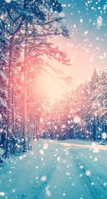 Christmas Tree iPhone. Зимние картинки, Зимние сцены, Фотографии природы,  Beautiful Mountain Christmas HD phone wallpaper | Pxfuel