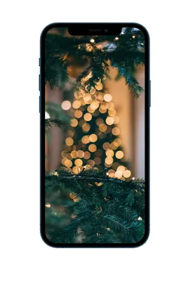 Стеклянный чехол на Apple iPhone 11 / Айфон 11 с принтом \"Зимний лес\" -  купить с доставкой по выгодным ценам в интернет-магазине OZON (987716000)