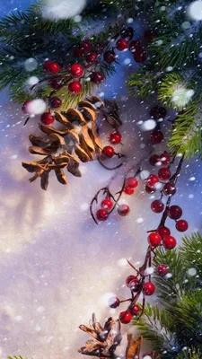 Winter Landscapes Wallpaper APK для Android — Скачать