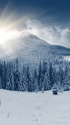 Скачать Winter Live Wallpaper HD 1.0 для Android