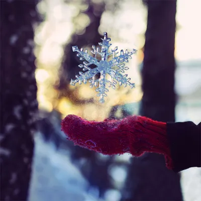 Картинки на аву: зима (24 фото) — Красивые картинки