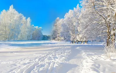 Зимние пейзажи на рабочий стол - 70 фото