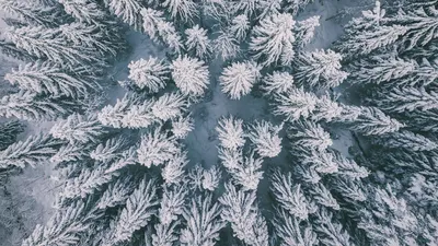 ОТДЫХ ЗИМНИЙ | Winter scenery, Winter landscape, Scenery wallpaper
