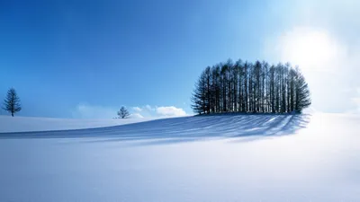 Новогодние обои обои для рабочего стола, картинки и фото