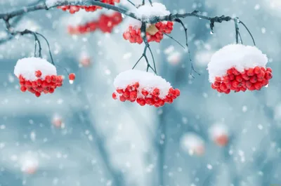 Фоновый рисунок на рабочий стол на весь экран природа зима (50 фото) »  рисунки для срисовки на Газ-квас.ком