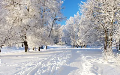 Русская природа зимой (58 фото) - 58 фото