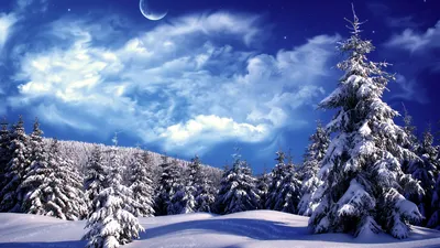 Фон рабочего стола где видно ели в снегу, зимний пейзаж, лес, природа,  голубое небо, winter landscape, forest, nature, blue sky, pines in the snow