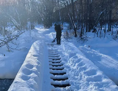 В Больших Озерках прошел веселый праздник «Зимние забавы на улице» — РОДНАЯ  ЗЕМЛЯ