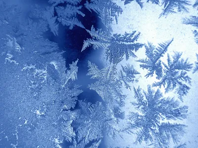 Красивые Снежные Леса Зимние Обои — стоковые фотографии и другие картинки  Без людей - Без людей, Белый, Вода - iStock
