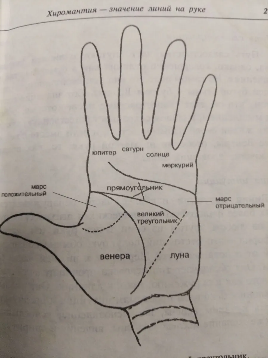 Значение линий на ладони в картинках - 81 фото