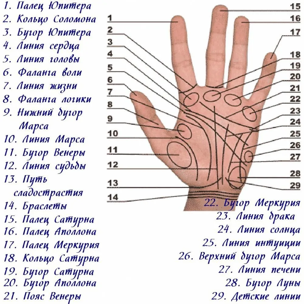 Какие знаки на руках сулят богатство