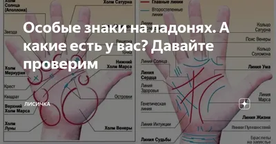 Особые знаки на ладонях. А какие есть у вас? Давайте проверим | Лисичка |  Дзен