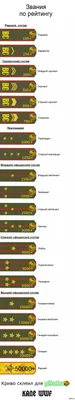 Звания: истории из жизни, советы, новости, юмор и картинки — Лучшее | Пикабу