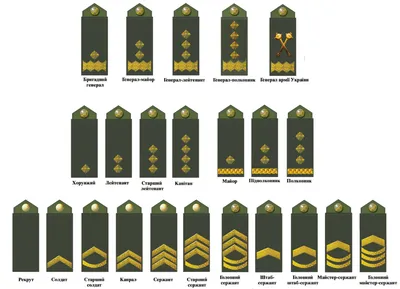 Новые форма, погоны, знаки различия: как будет выглядеть обновленная  украинская армия - Днепр Инфо